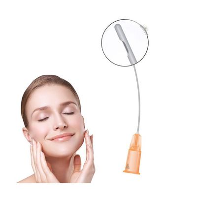 21g 50mm 70mm Botte Cannula Naald Botte Cannula Naald Injecteerbare Vullers